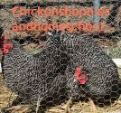 Chickens, Bunnies and Homeschool