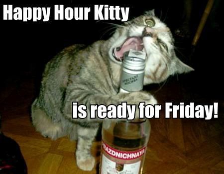 Funny-HappyHourKitty_zpsb34e8e9d.jpg