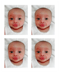 PassportBLR_zps79714e01.png