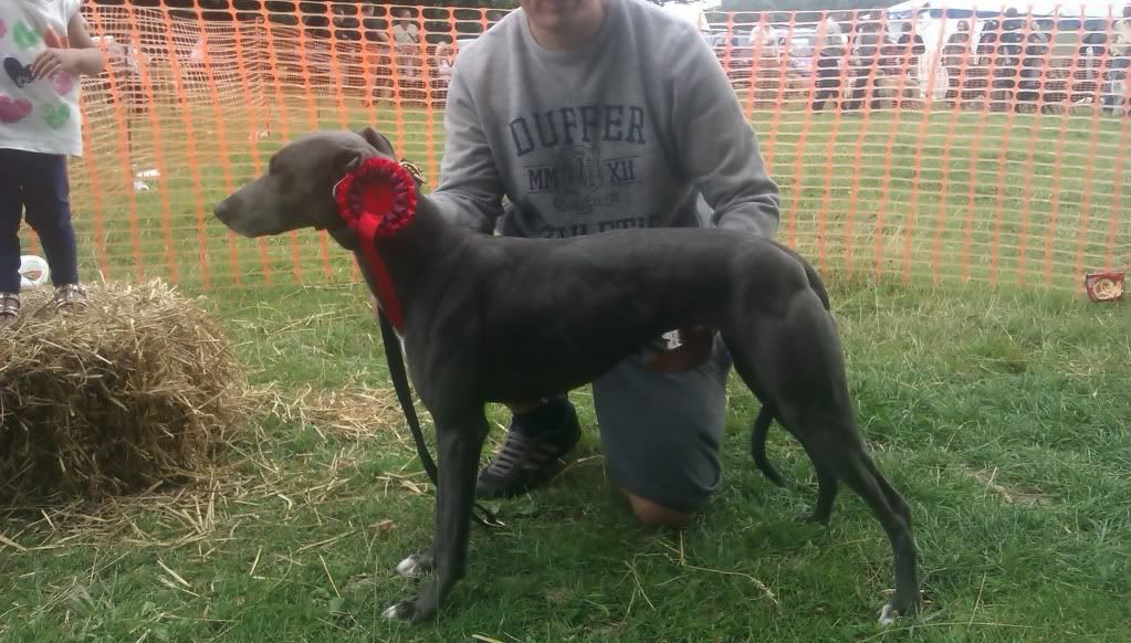 C894891A-9DA3-463C-9EF1-F64E642BC4CD-546