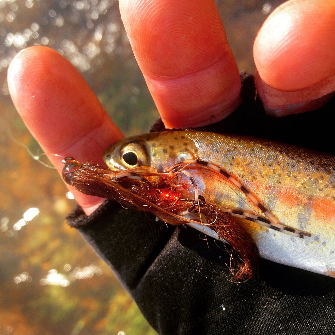 Tying Micro Streamers? The North American Fly Fishing Forum