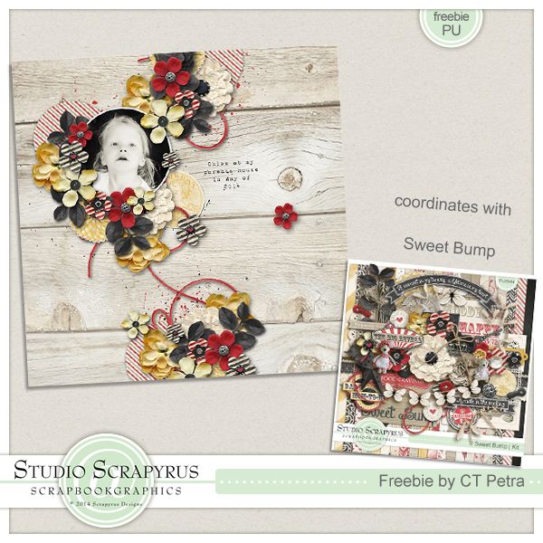 http://i1288.photobucket.com/albums/b490/ScrapyrusDesigns/Freebie%20previews/SD_SBG_Freebie_packaging_v2_zpsa89ff846.jpg