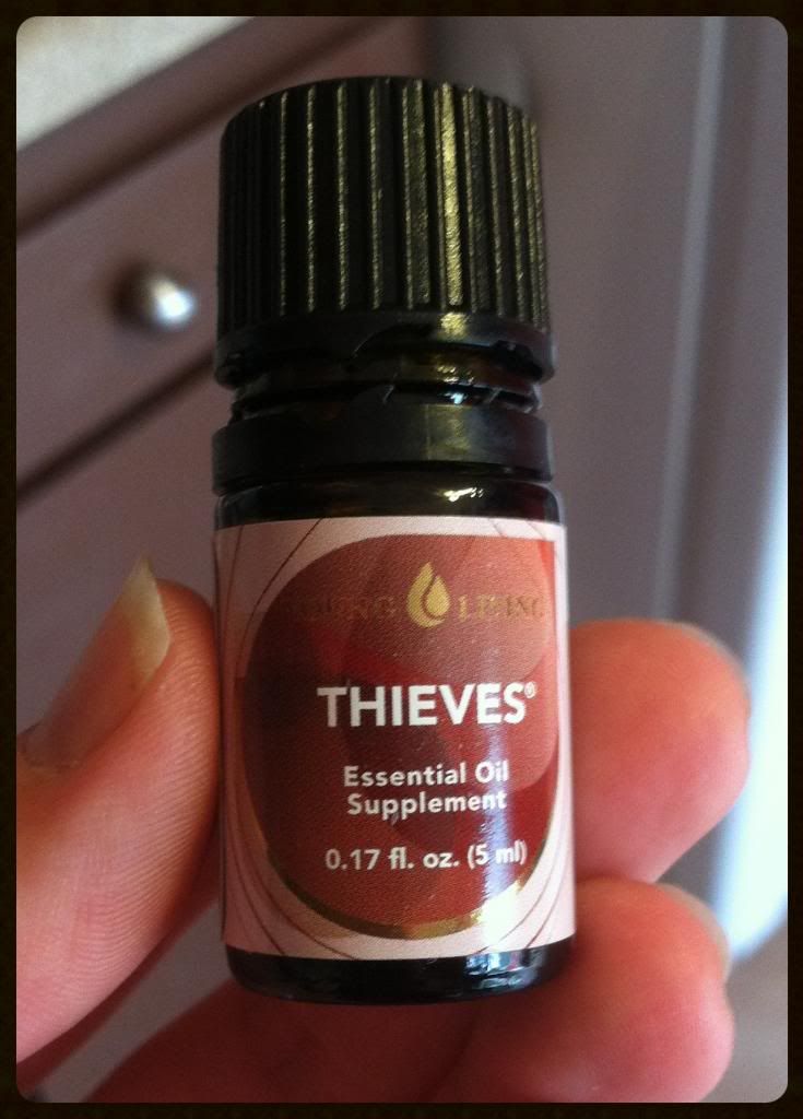 Thieves young living malaysia