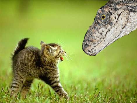 attack-kittenvsvelociraptor.jpg