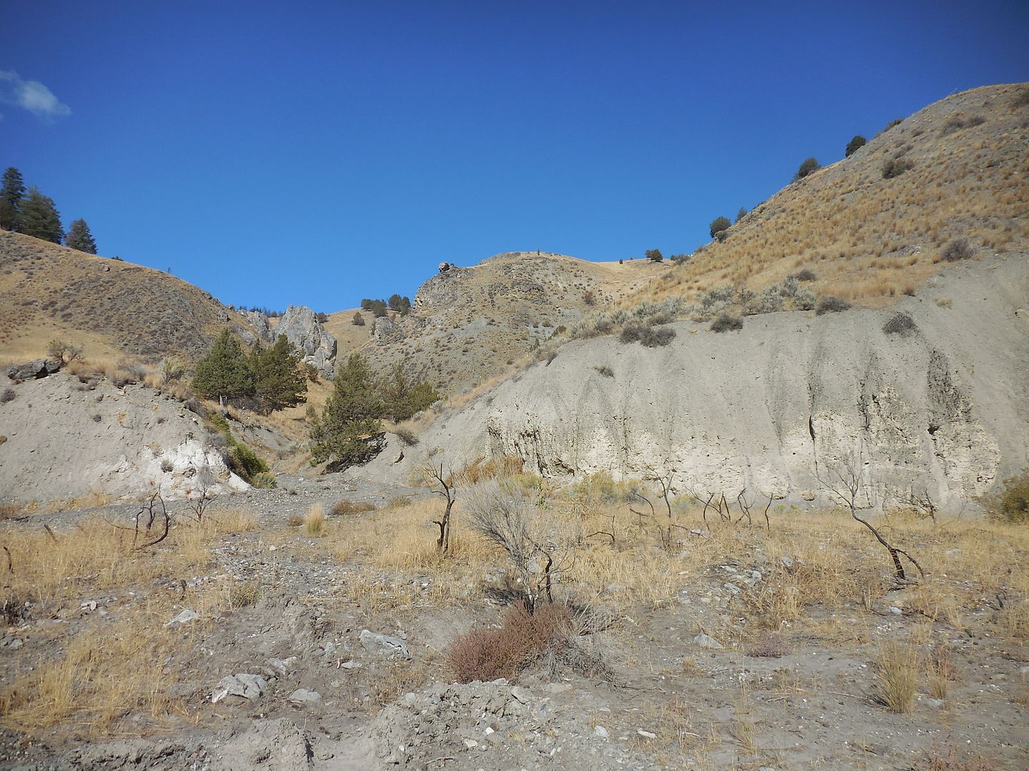 BAKER CITY EASTERN OREGON dredge placer gold mining claim BURNT RIVER