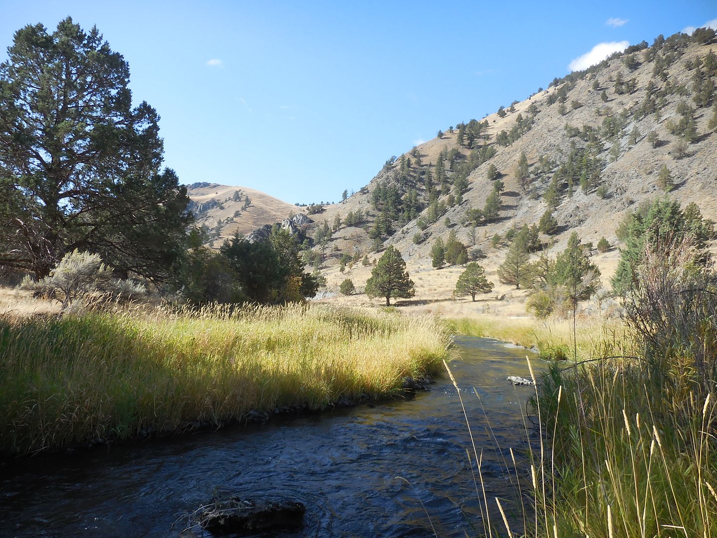 BAKER CITY EASTERN OREGON dredge placer gold mining claim BURNT RIVER
