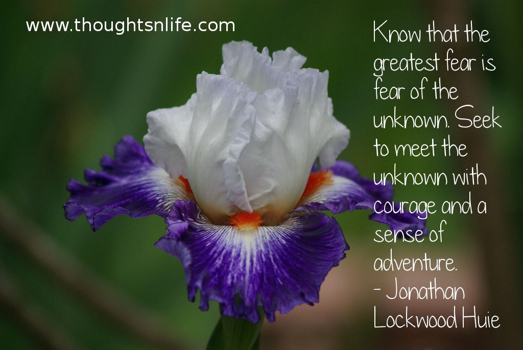 Thoughtsnlife.com :Know that the greatest fear is fear of the unknown. Seek to meet the unknown with courage and a sense of adventure. - Jonathan Lockwood Huie
