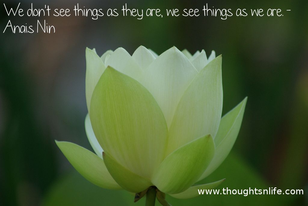 Thoughtsnlife.com : We don't see things as they are, we see things as we are. - Anais Nin