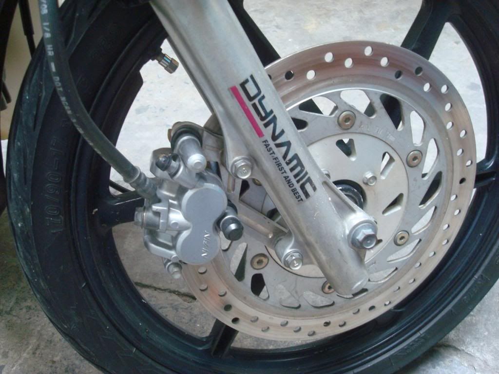 HCM - Dream kiểng đẹp leng keng, xinh lung linh đây - 4