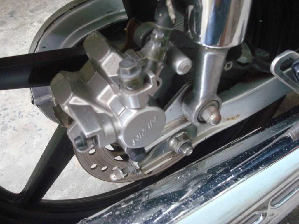 HCM - Dream kiểng đẹp leng keng, xinh lung linh đây - 3