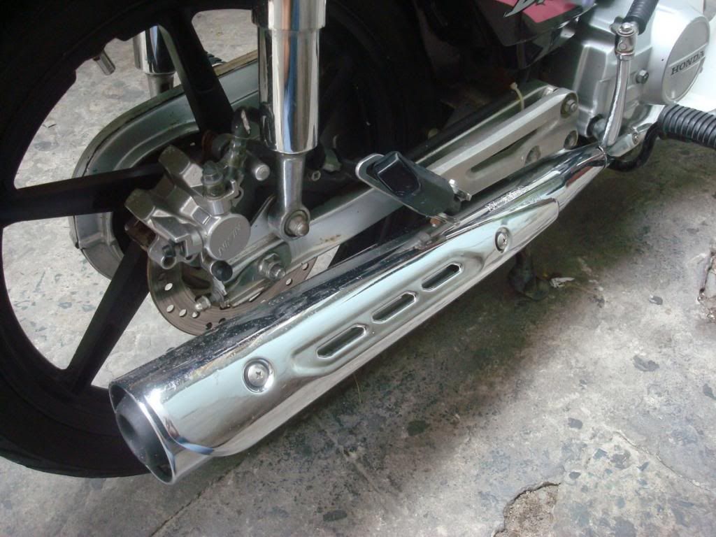 HCM - Dream kiểng đẹp leng keng, xinh lung linh đây - 2