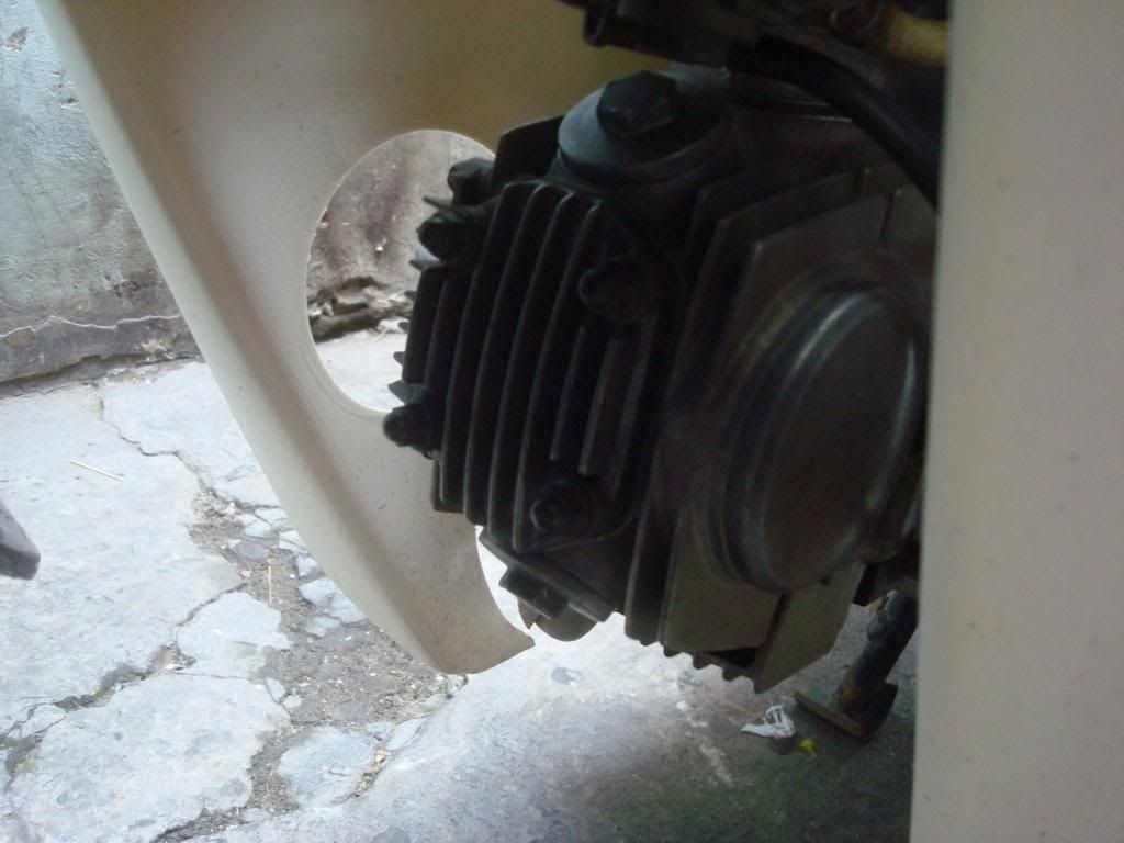 HCM - Dream kiểng đẹp leng keng, xinh lung linh đây - 5