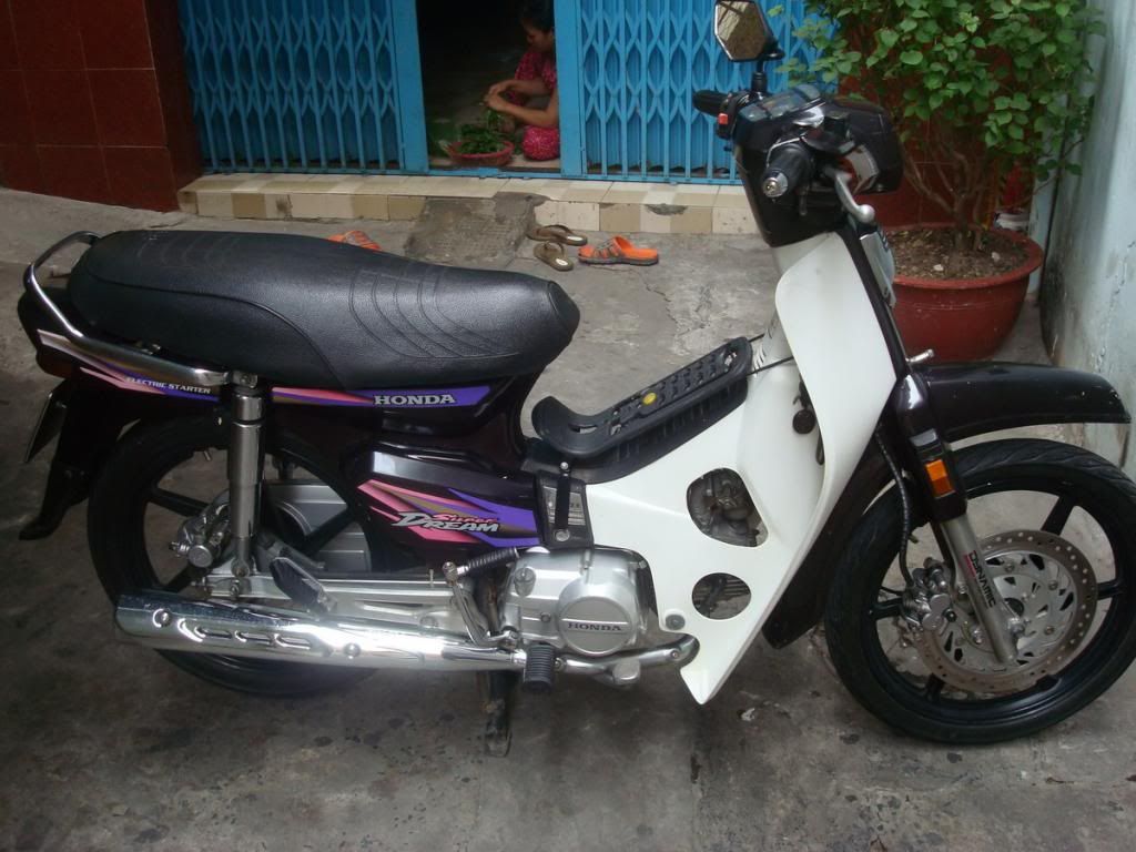 HCM - Dream kiểng đẹp leng keng, xinh lung linh đây - 1