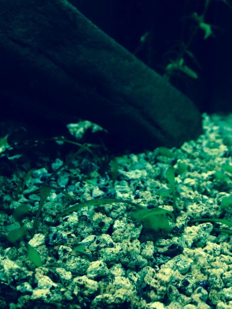 fotografia1_zps76d83200.jpg
