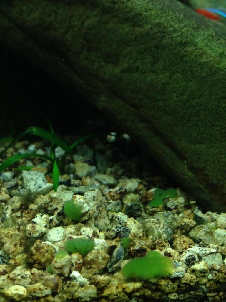 fotografia3_zps2e0fd8c9.jpg