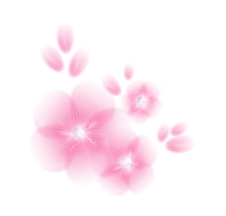  photo pink flowers_zpszl8frk87.png