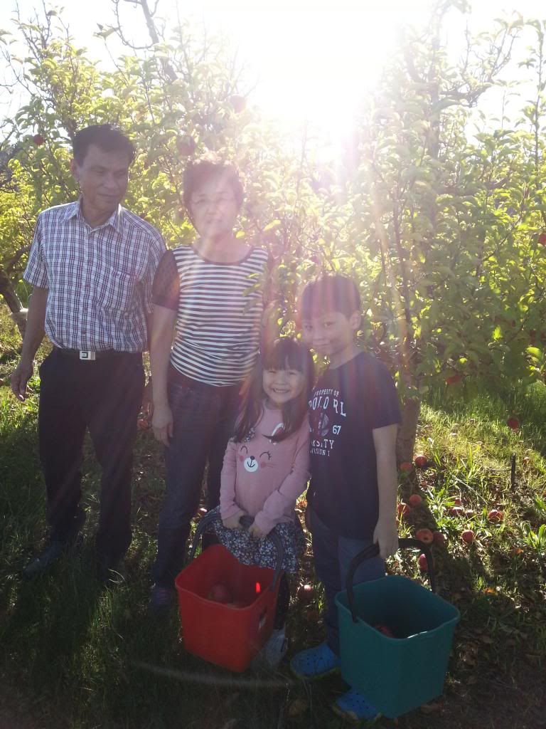  photo 20140606_143507_zps5b42df3f.jpg