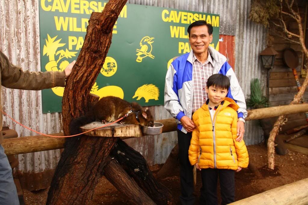 photo IMG_3287_zpsbbddbd5b.jpg