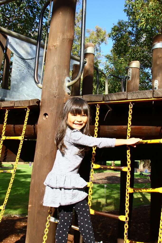  photo IMG_3377_zps54c74bce.jpg