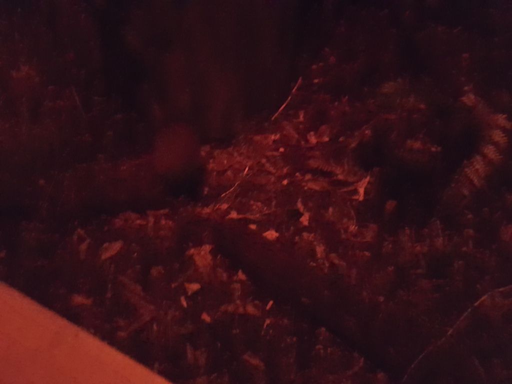  photo 20161206_175417_zps7vt8cbuw.jpg
