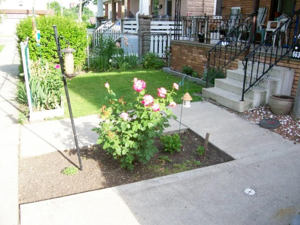 photo 000_5743_zps3e2eaa90.jpg