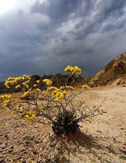  photo 0_zps1d9a34af.jpg