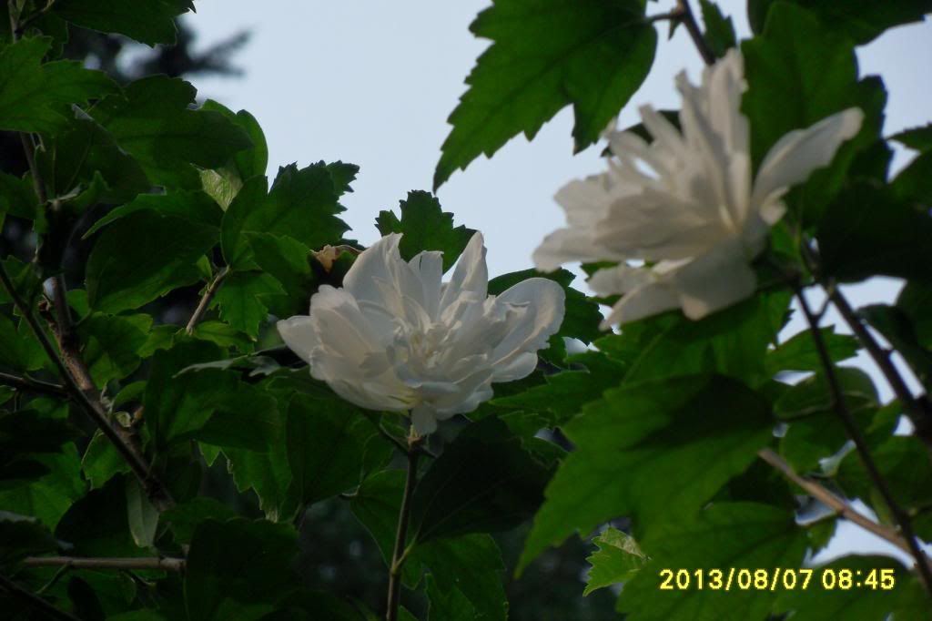photo 0_zps24aa4226.jpg
