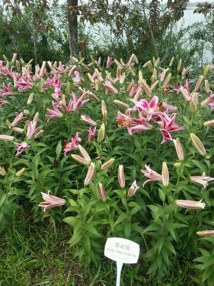  photo 0_zps25e1ec2e.jpg