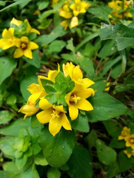  photo 0_zps32f3768b.jpg