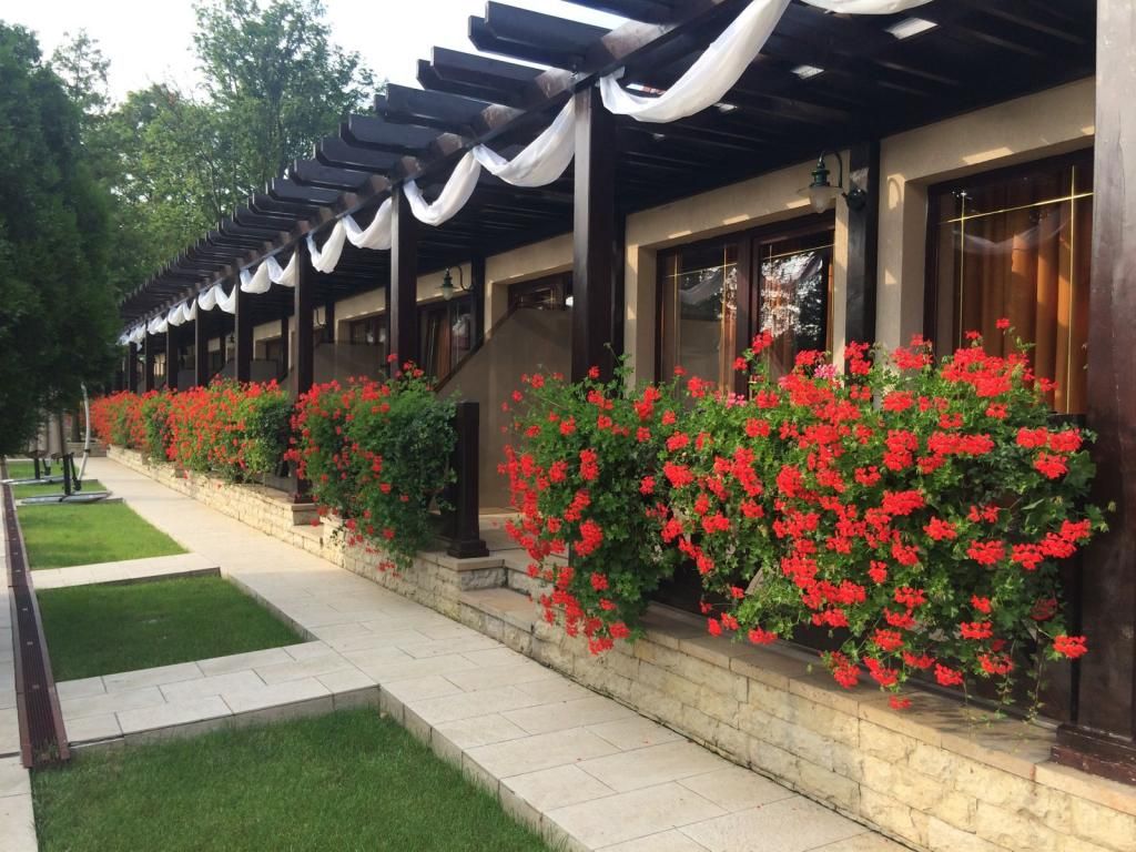  photo 0_zps361fc437.jpg