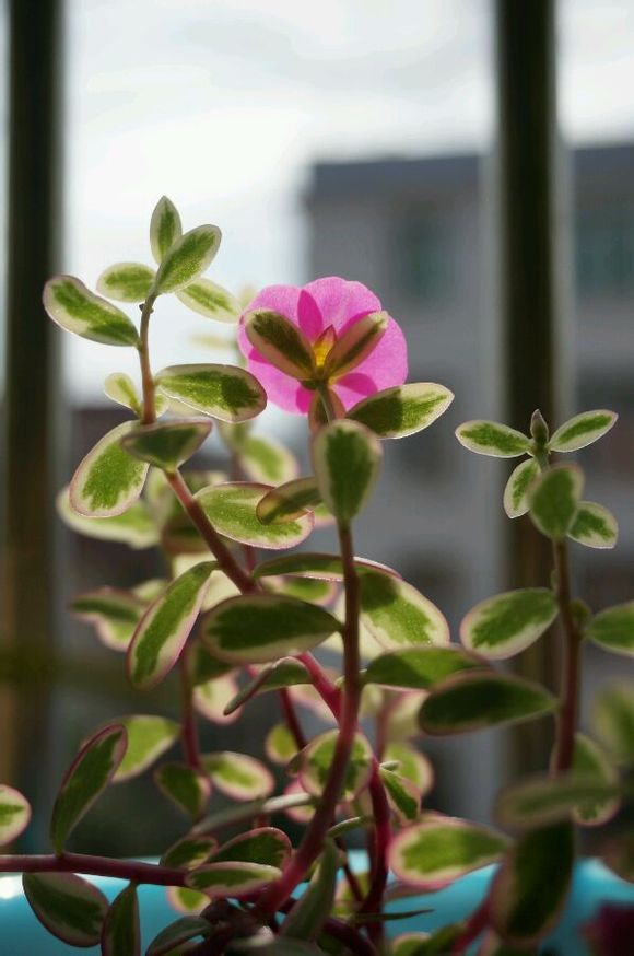  photo 0_zps3df3298d.jpg