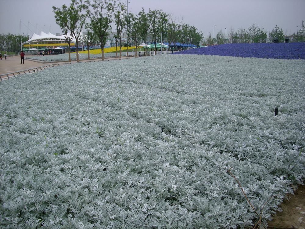  photo 0_zps55f1f2a4.jpg