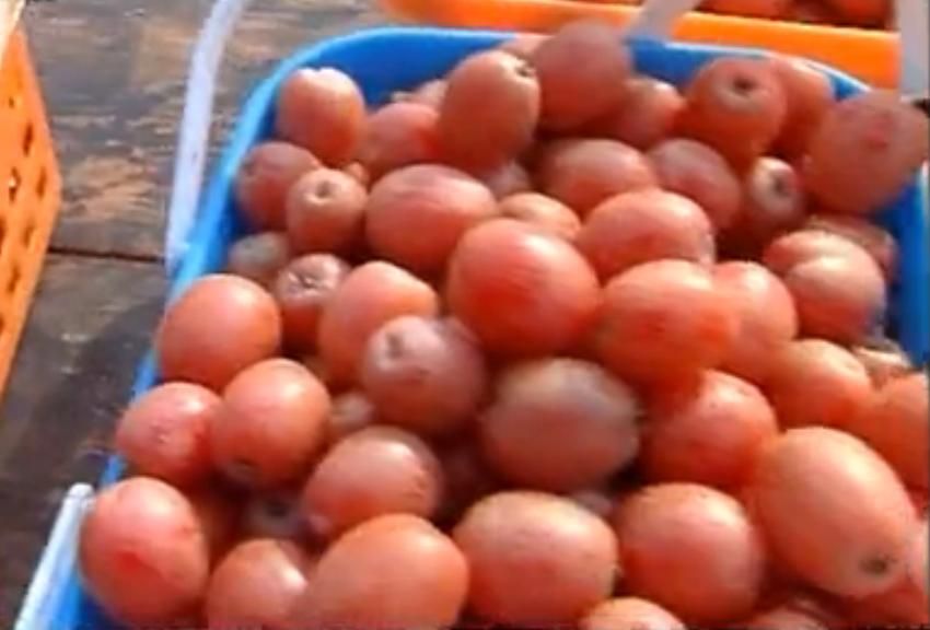  photo 0_zps93634810.jpg