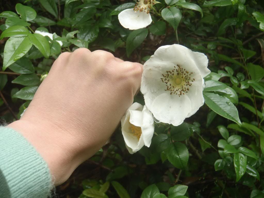  photo 0_zpsb33ca961.jpg