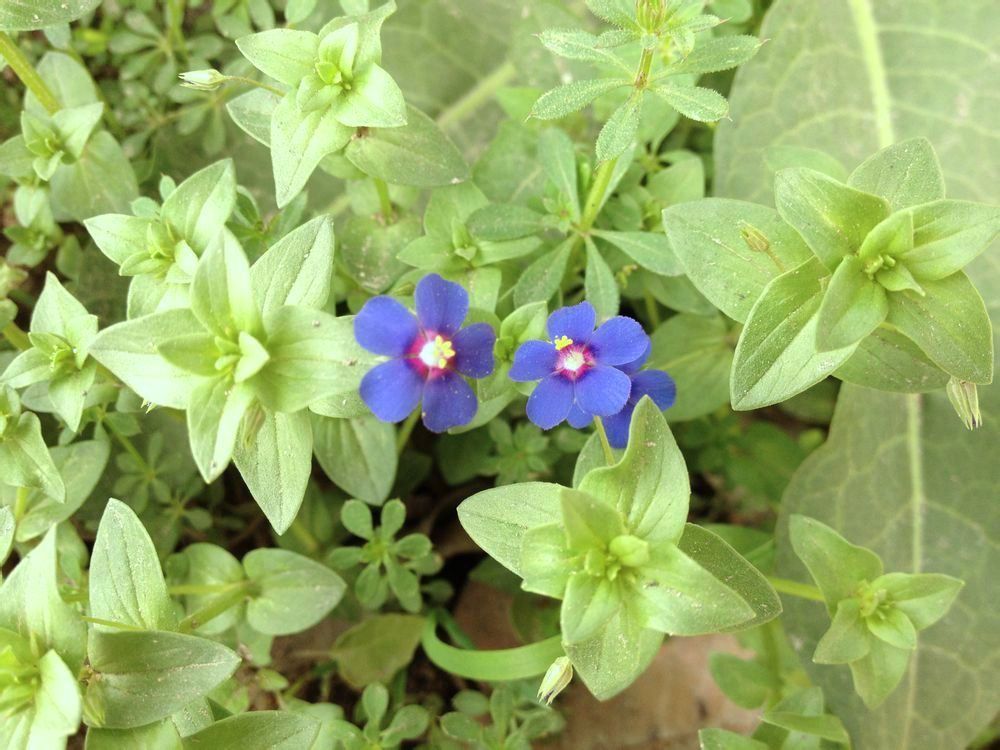  photo 0_zpse5be64af.jpg