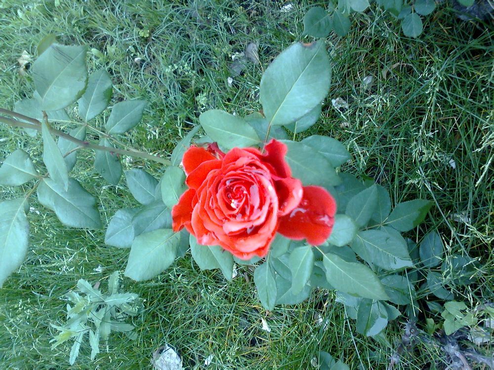  photo 10_zps7d8336ac.jpg