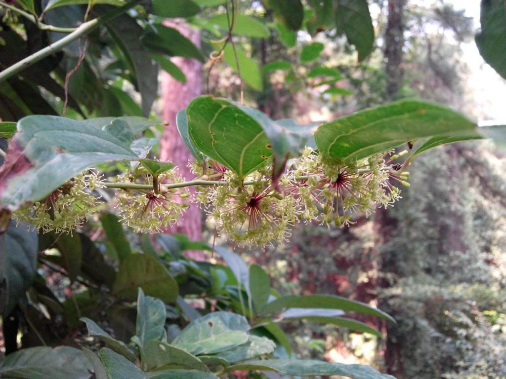  photo 10_zpsa7319c8e.jpg