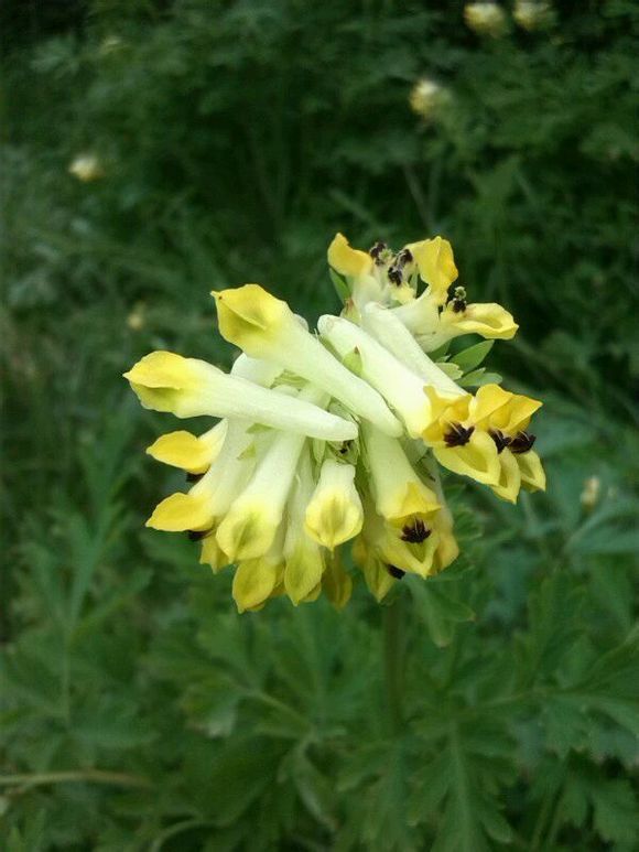  photo 10_zpsc23f397d.jpg