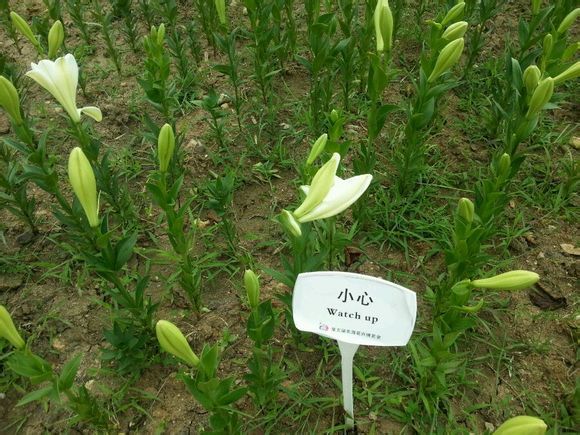  photo 11_zps1fdcb1c0.jpg