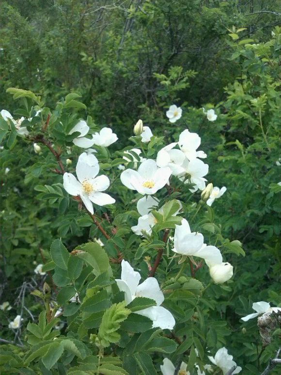  photo 11_zpsbb35e97a.jpg