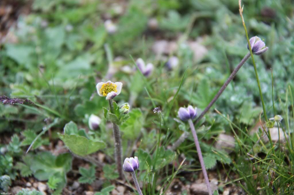  photo 12_zps864697eb.jpg