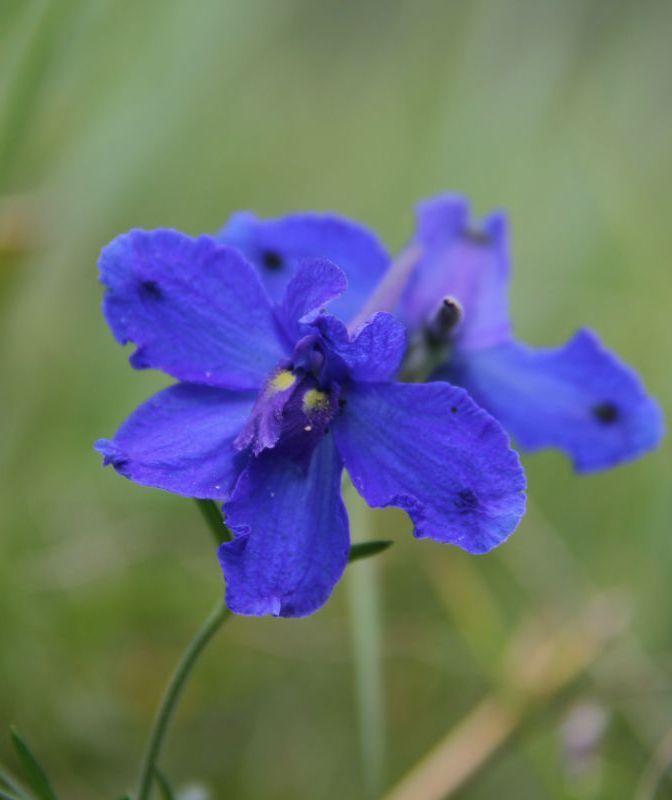  photo 12_zps9f097279.jpg