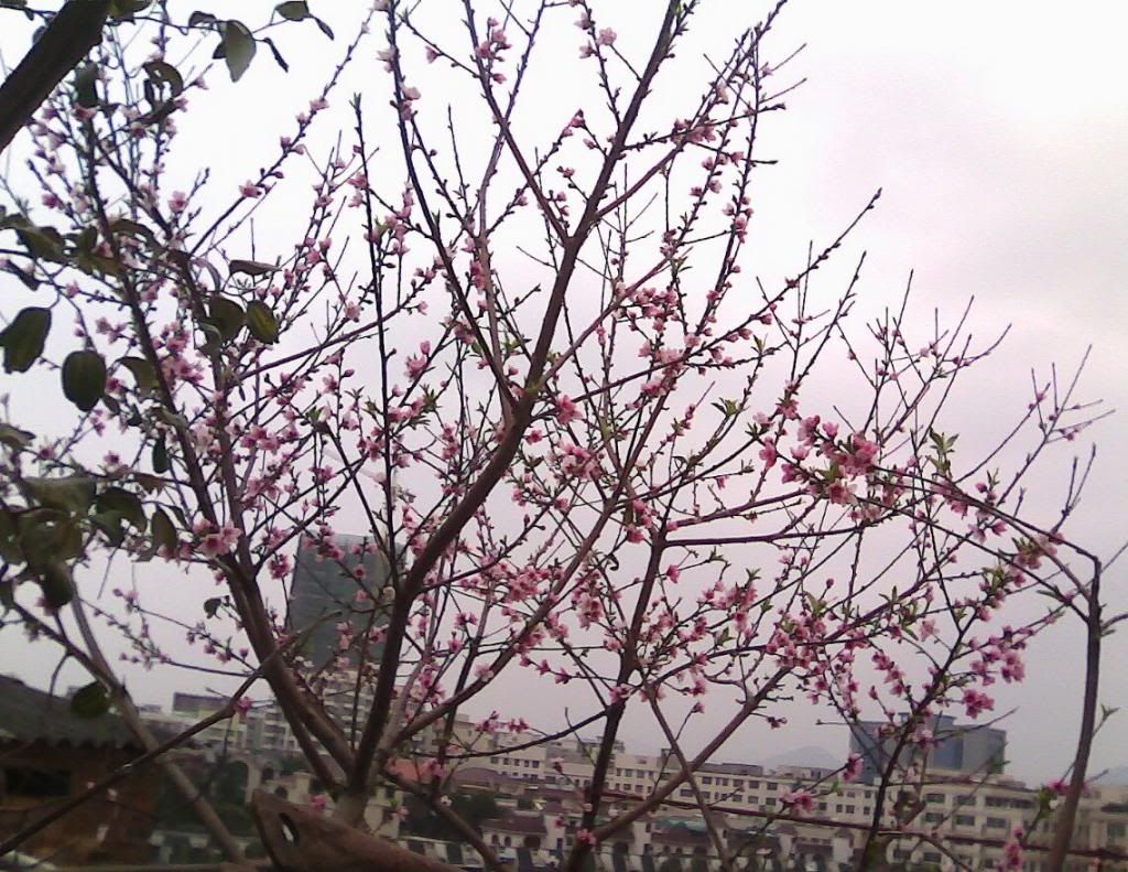 photo 12_zpsa4721b63.jpg