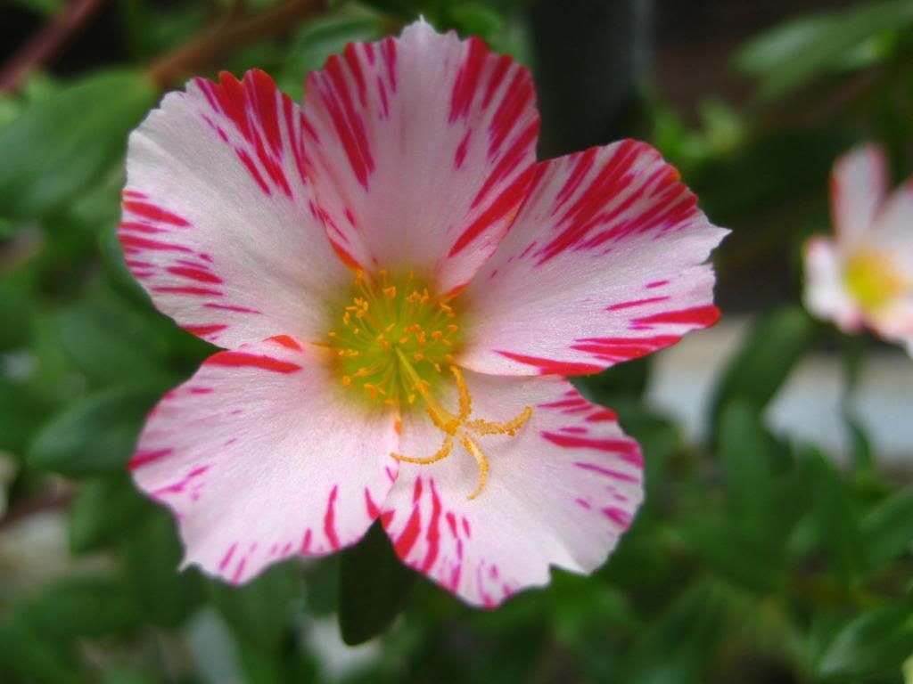  photo 13_zps01303afa.jpg