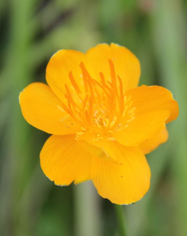  photo 13_zps7767e1d0.jpg