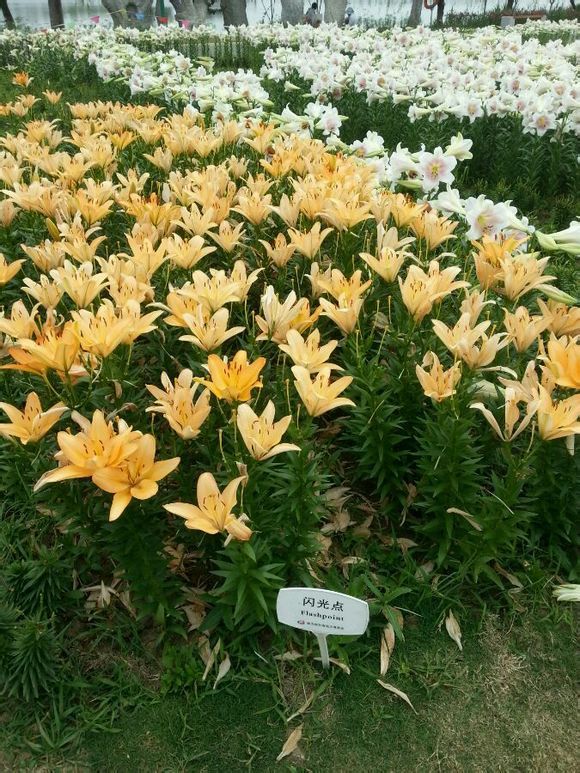  photo 13_zpsc3acad38.jpg