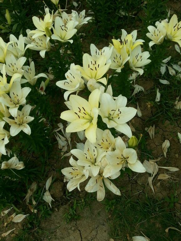  photo 14_zps0c0175fe.jpg