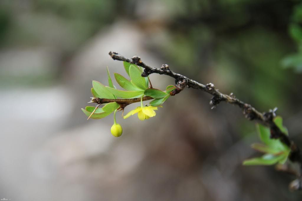  photo 14_zps3b111da9.jpg