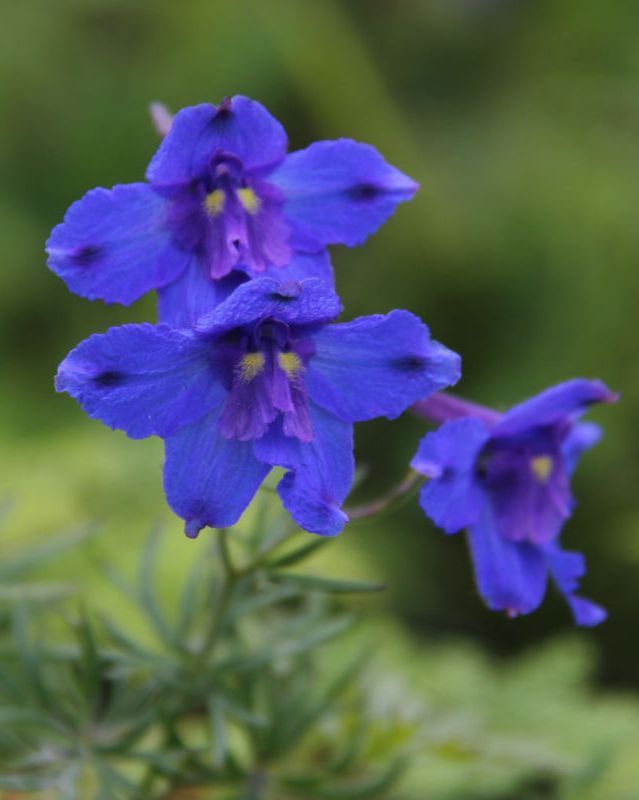  photo 14_zps924437d4.jpg