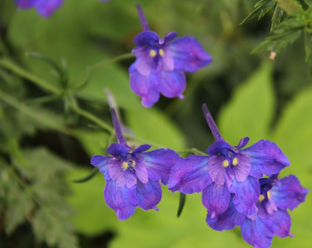  photo 15_zps9e8bcf7d.jpg